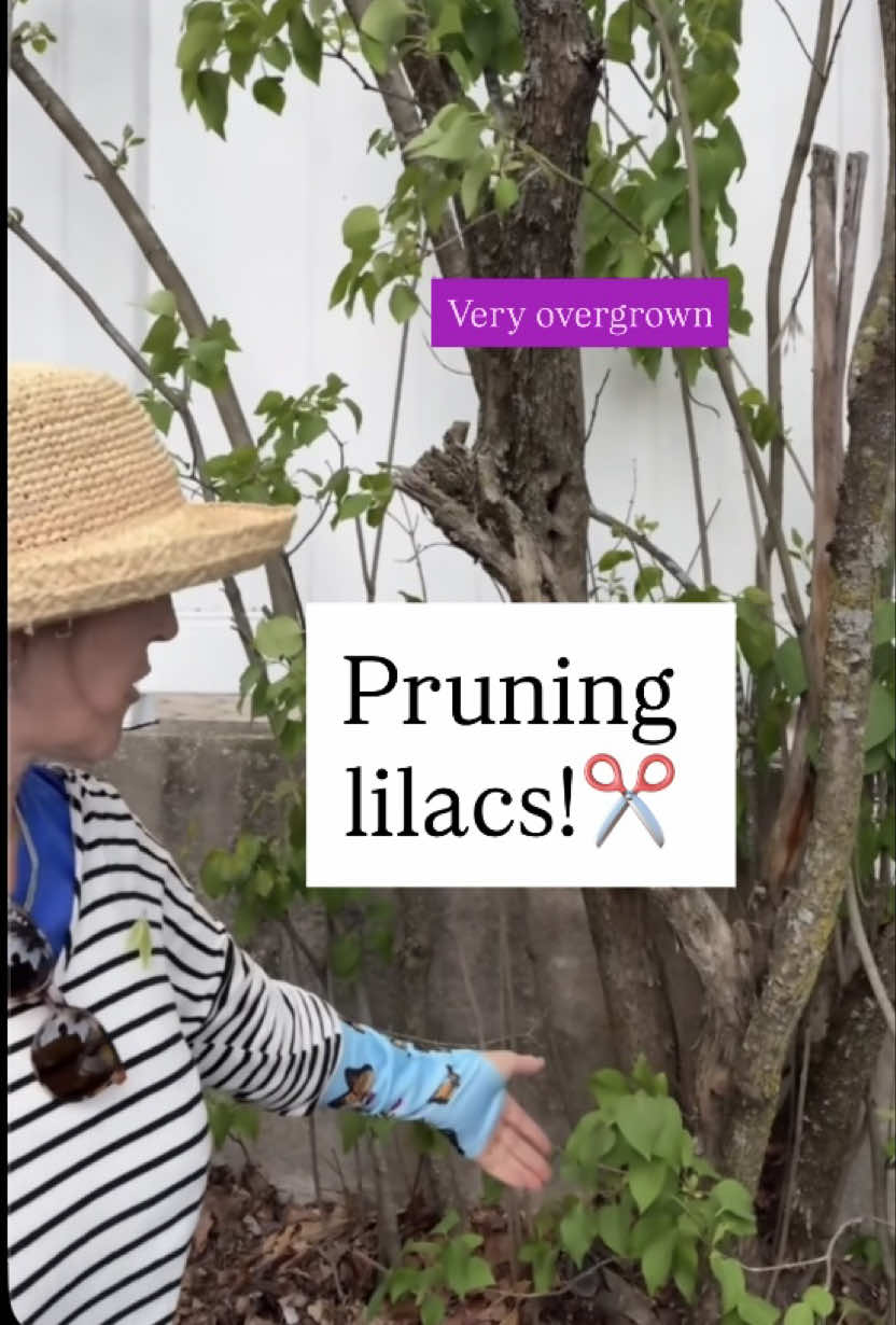 @You Can Do It Gardening
