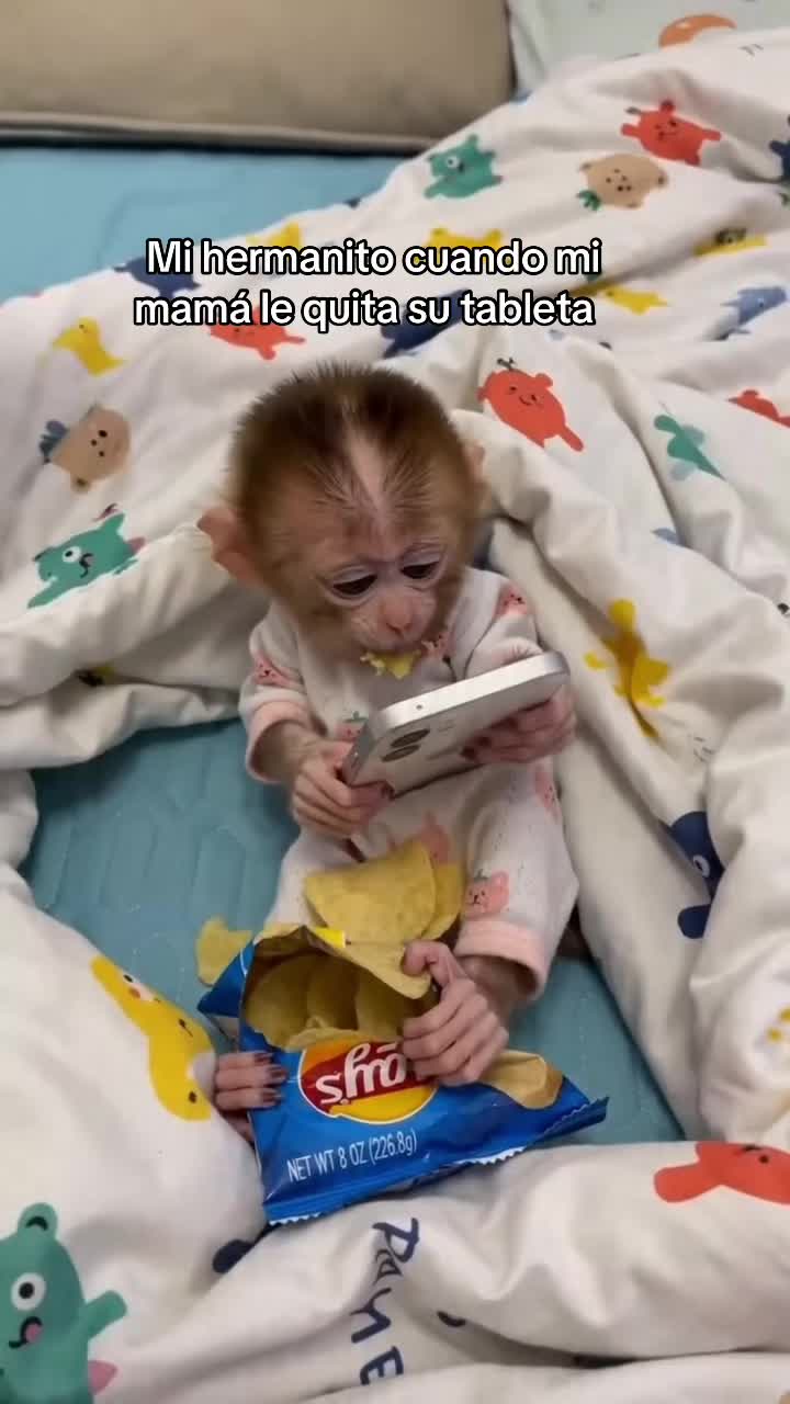 @jaremonox