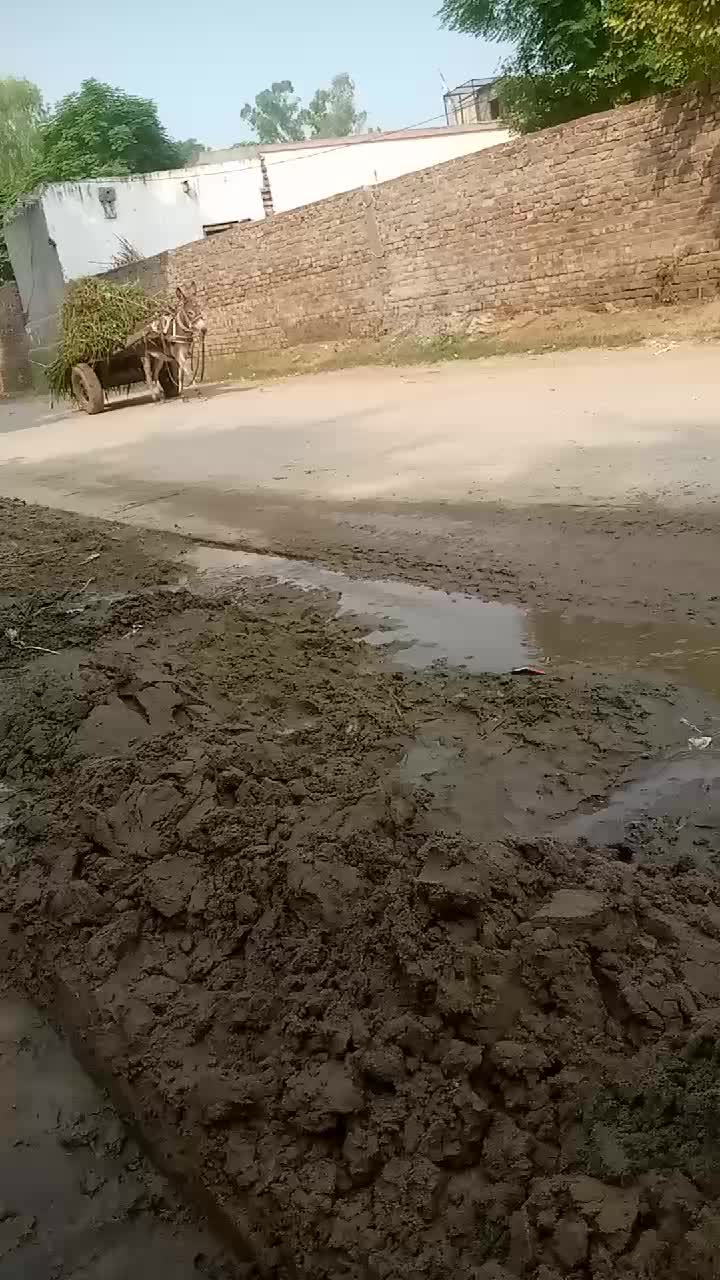 @wajid ali bop