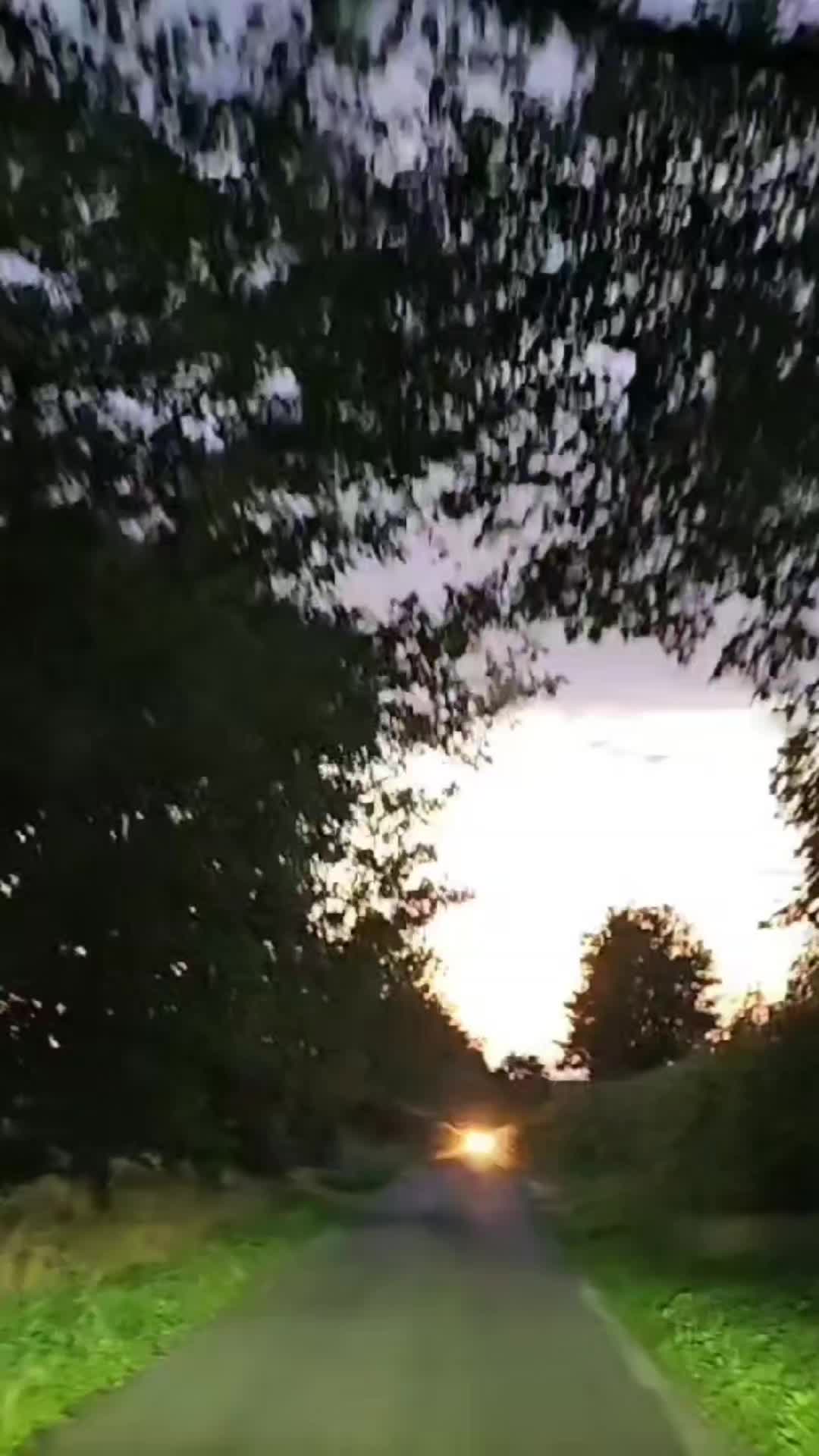 @WishCreator