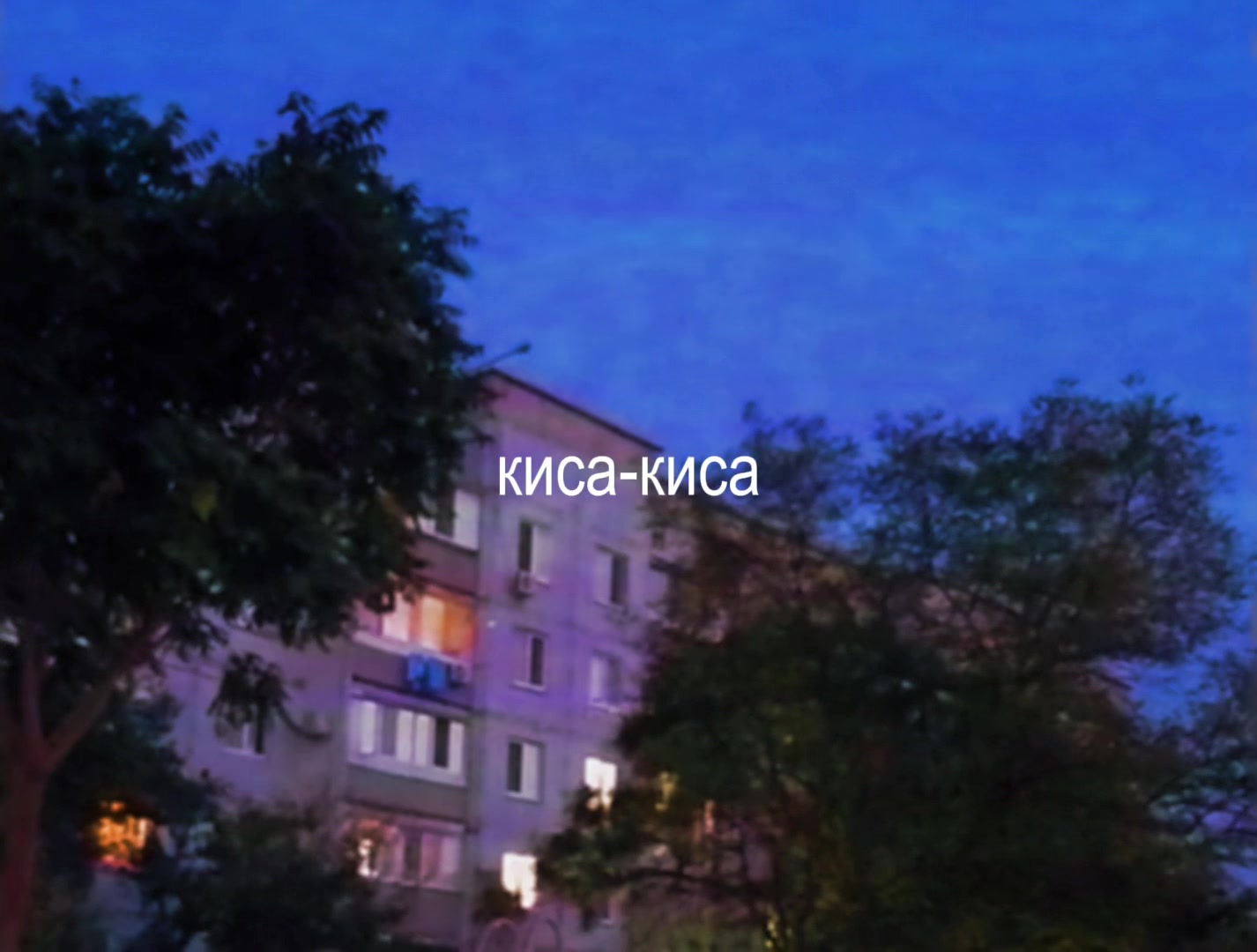 @hecodu