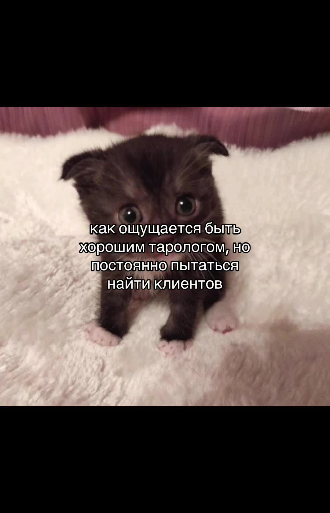 @Анна Таролог🤍