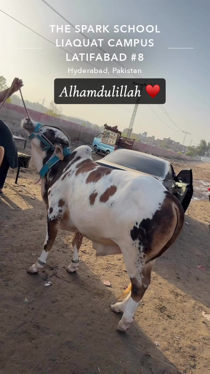 @AHSAN KHOKHAR 🇵🇰