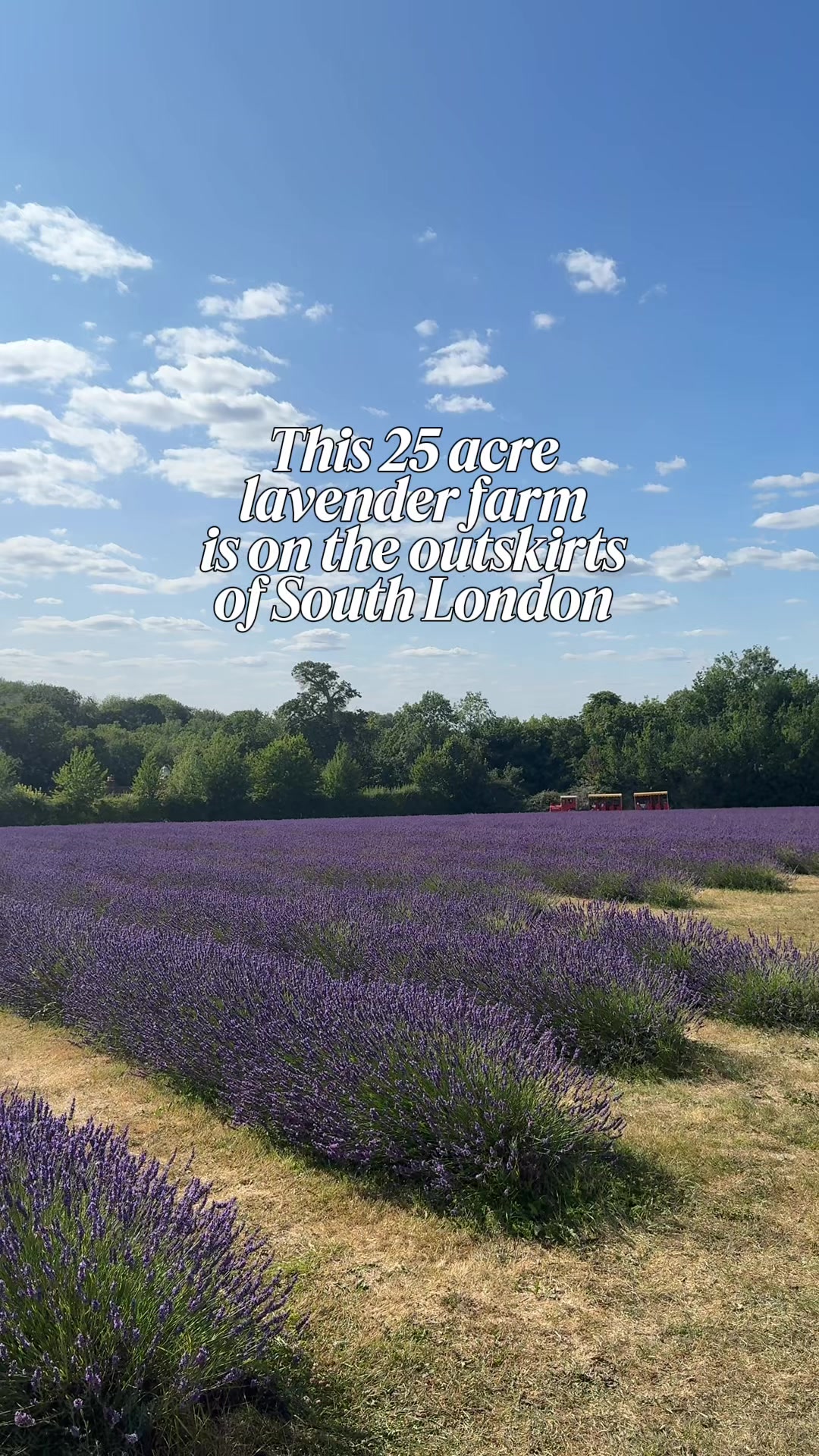 @Luxury London Media