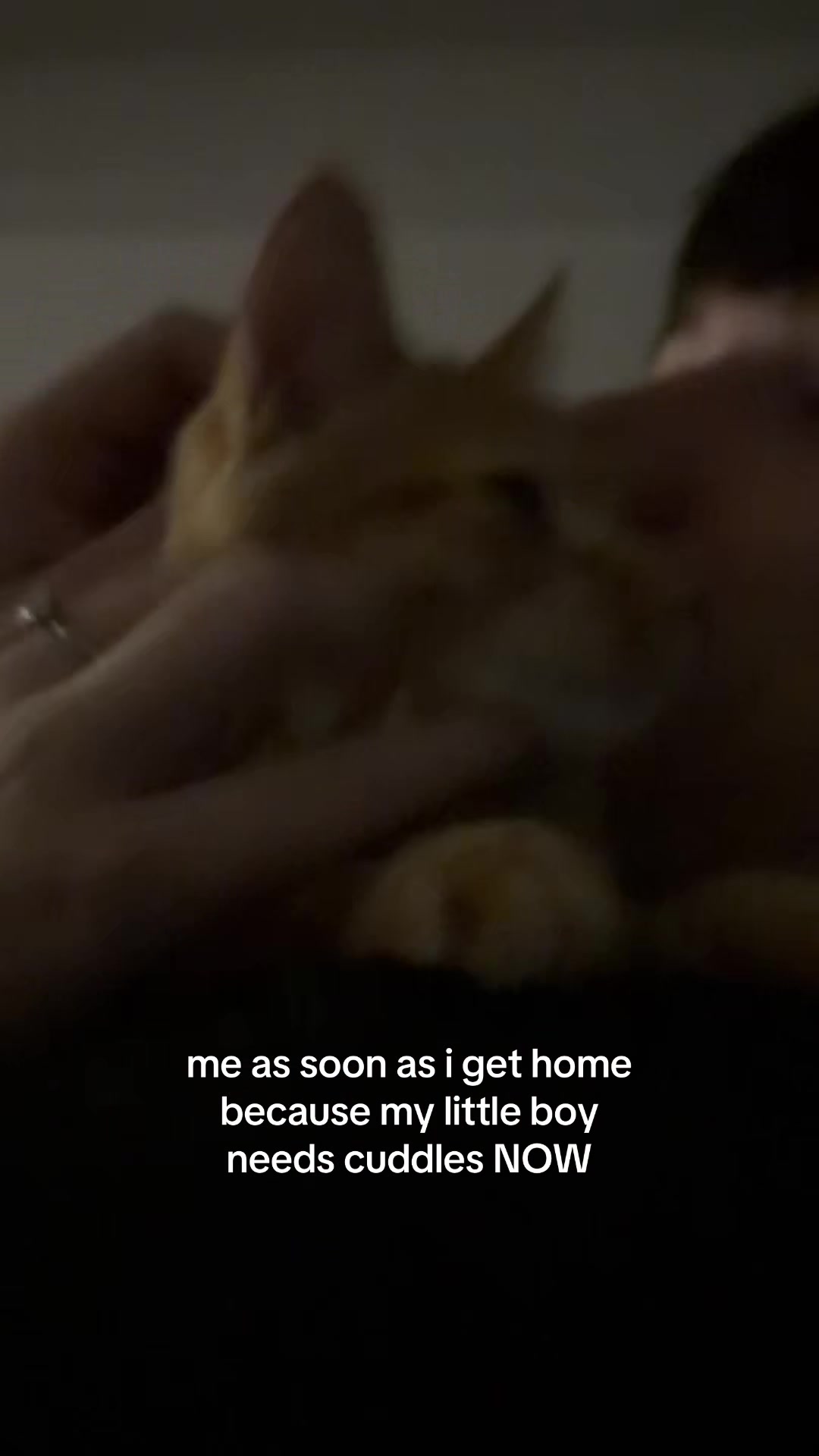 @katie 🖤