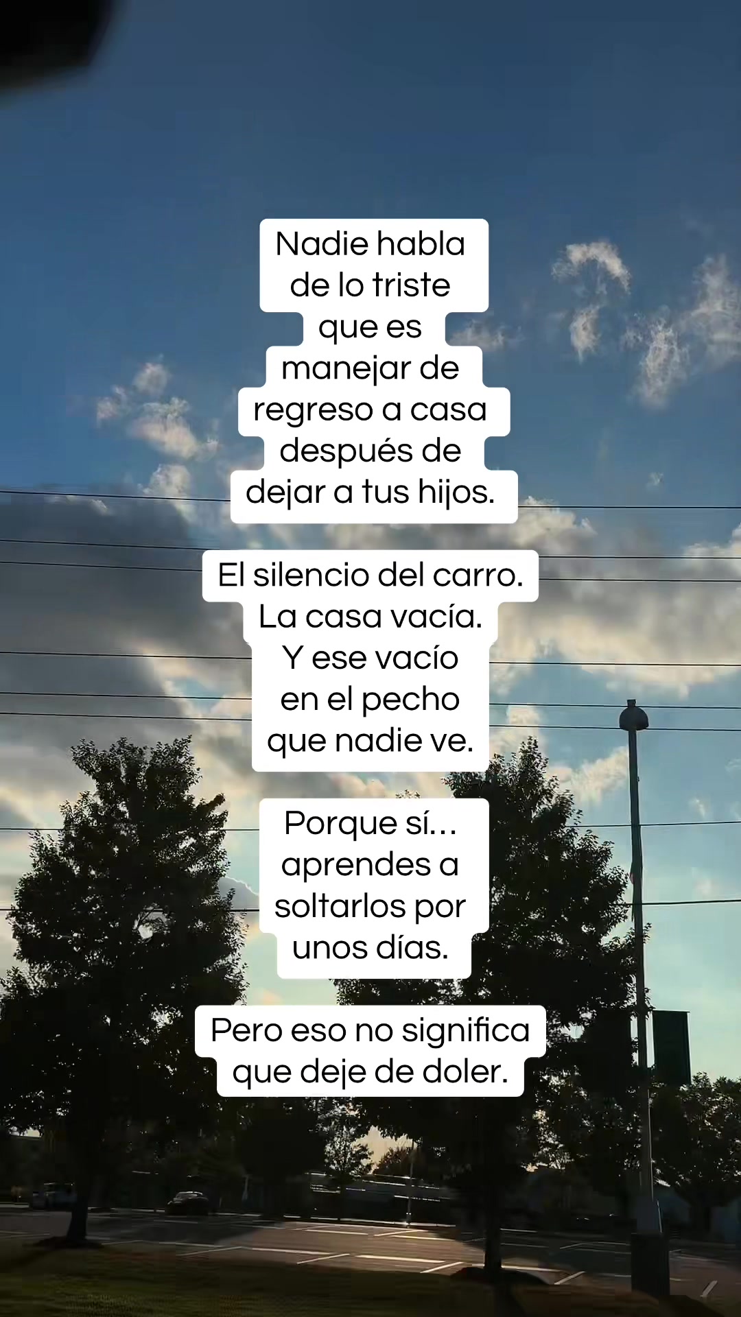 @vidarealconari