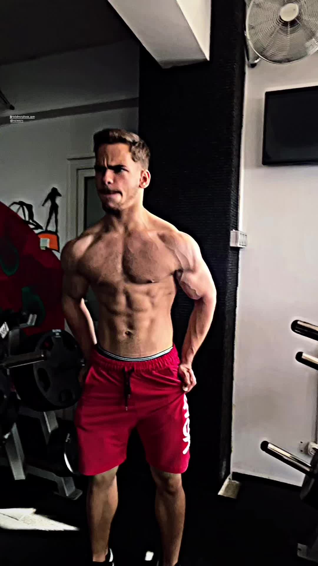 @lungan.cristian.ifbb