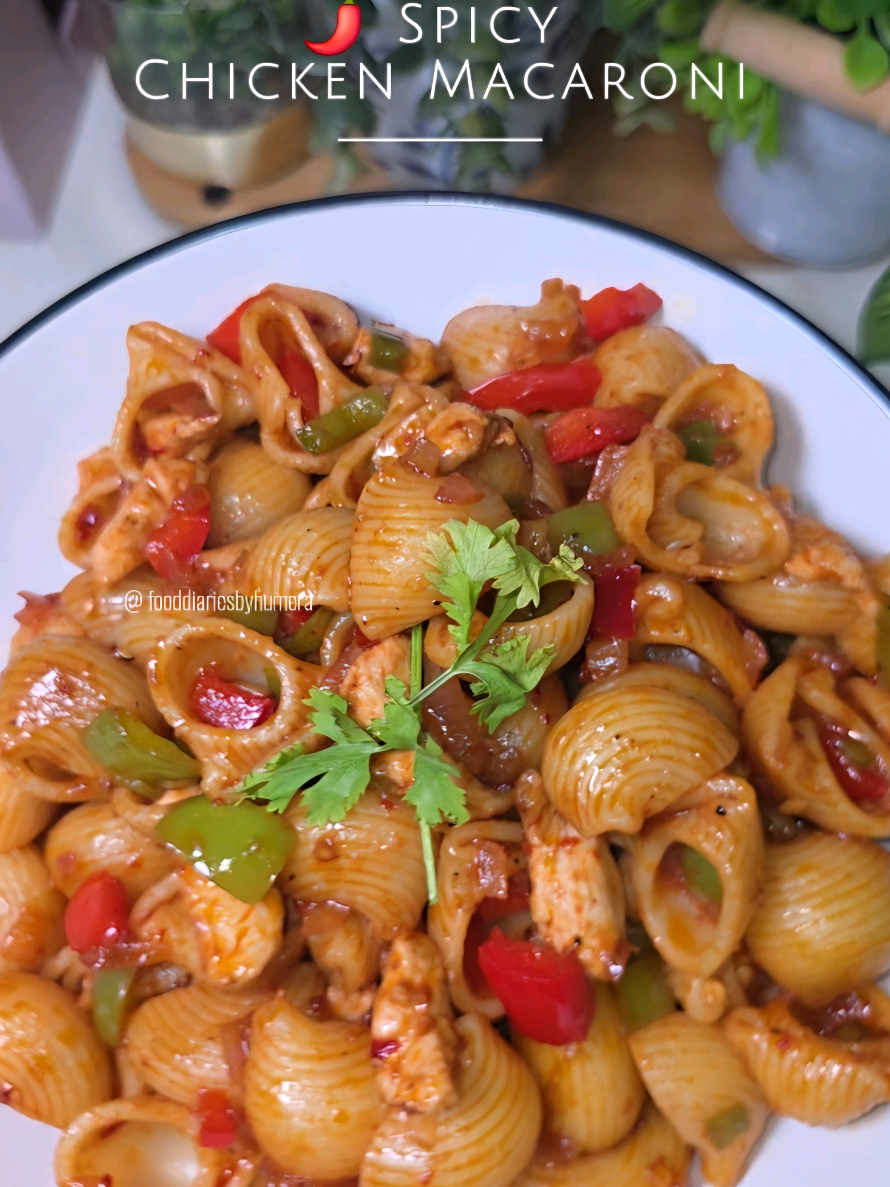 @fooddiariesbyhumera