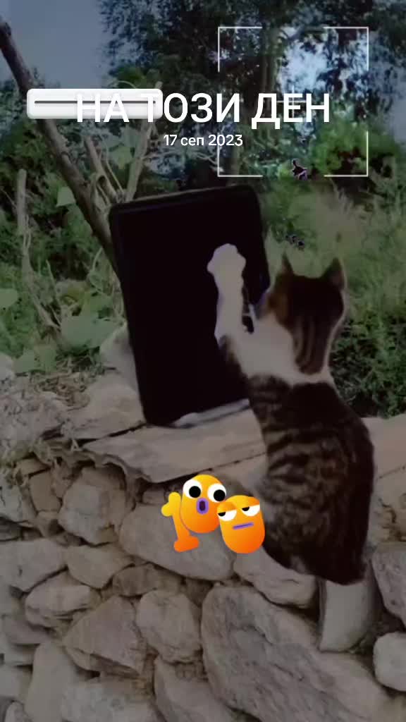 @ашка ♥️