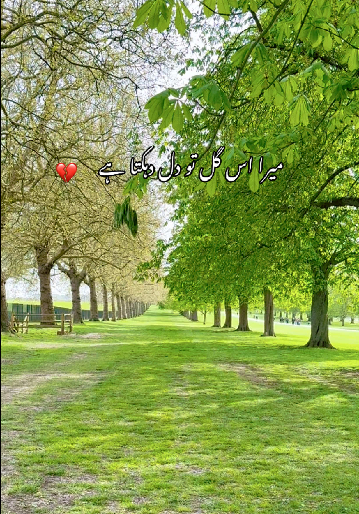 @Noor