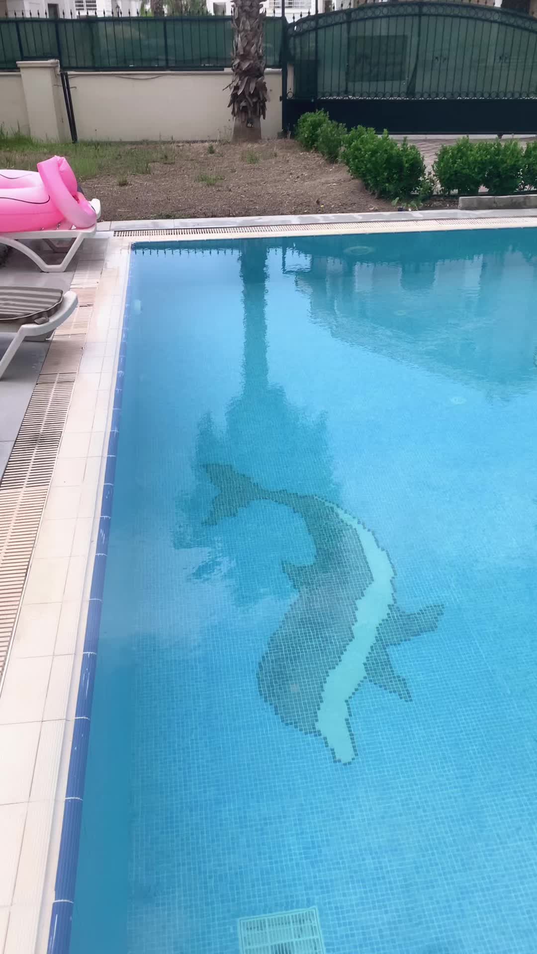 @SEAWORLD2025🇬🇧🇬🇧🇹🇷