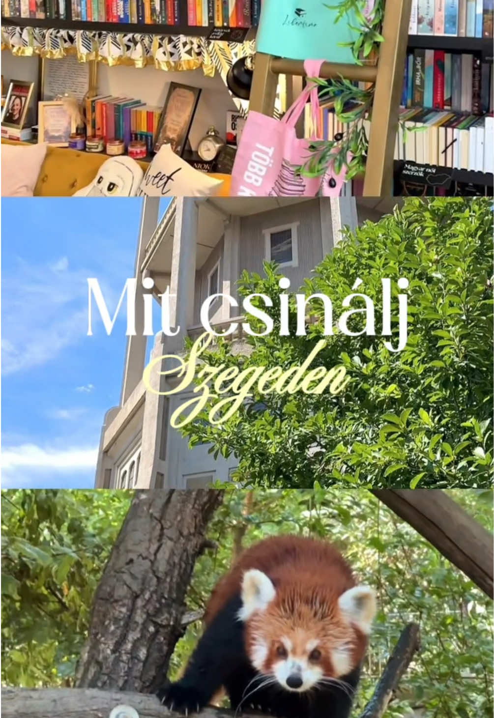@𝐑𝐞𝐢𝐤𝐚𝐩𝐞𝐭𝐫𝐚🧚🏻♂️