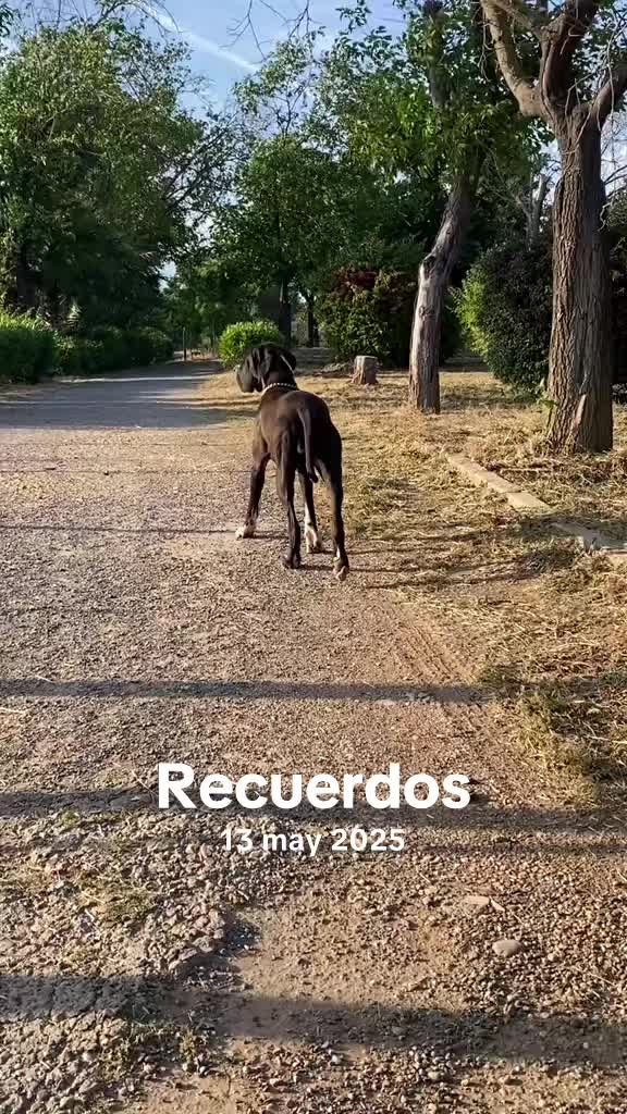 @Dеlмаdоg 🐾