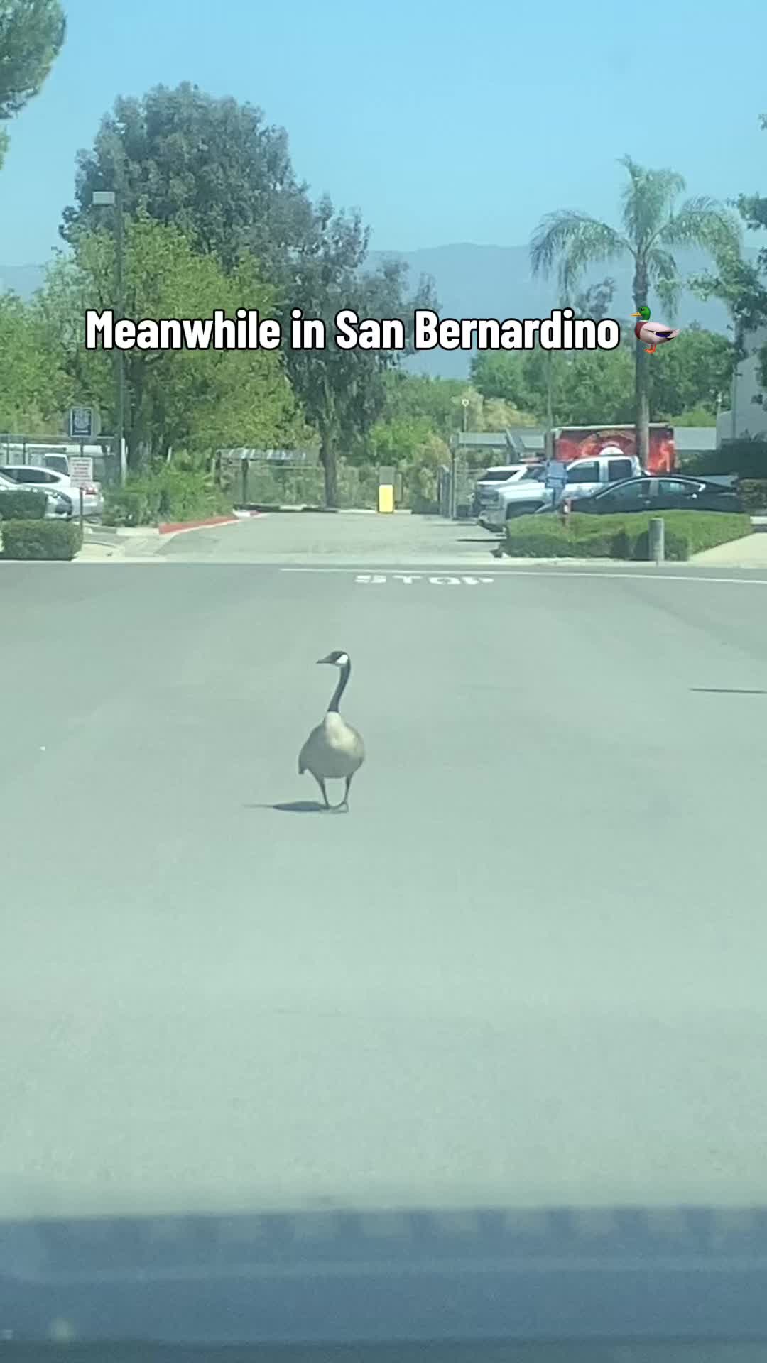 @Santiago Romero