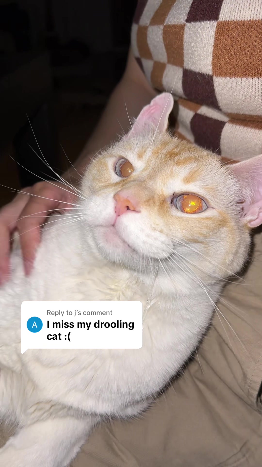@Angel