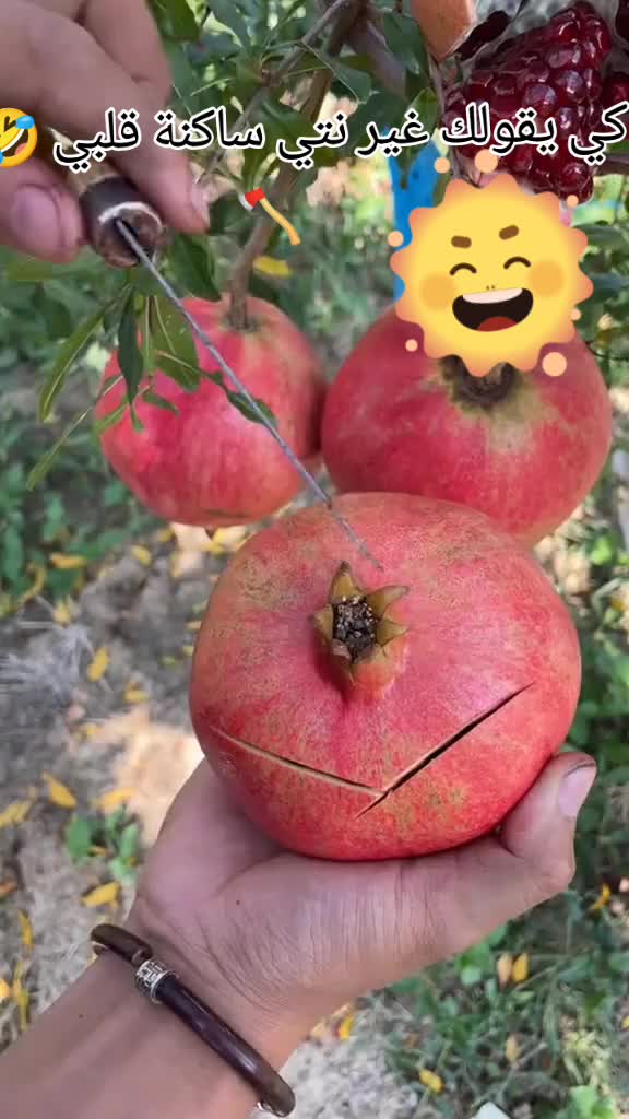 @༊෴✿👑🇩🇿نۆر✿〄࿐