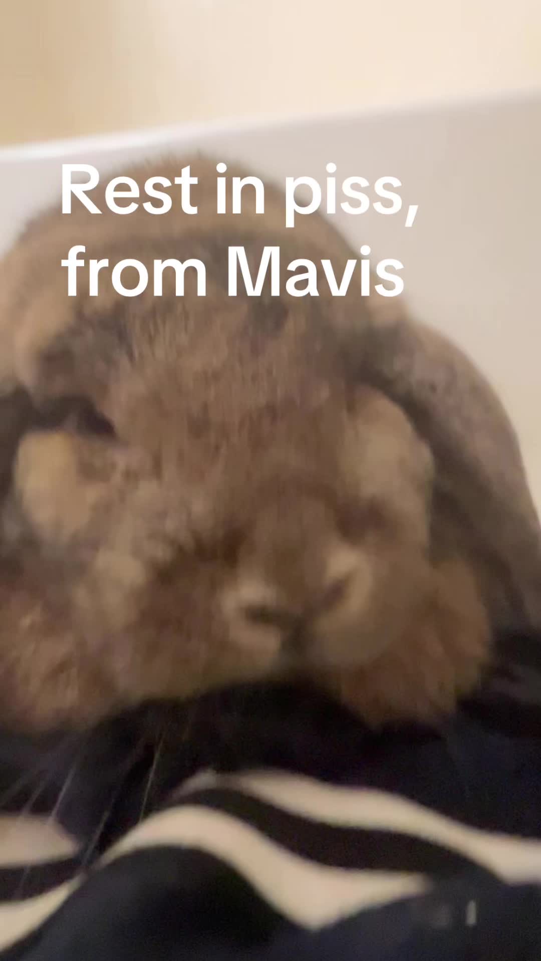 @Fadedbunny69