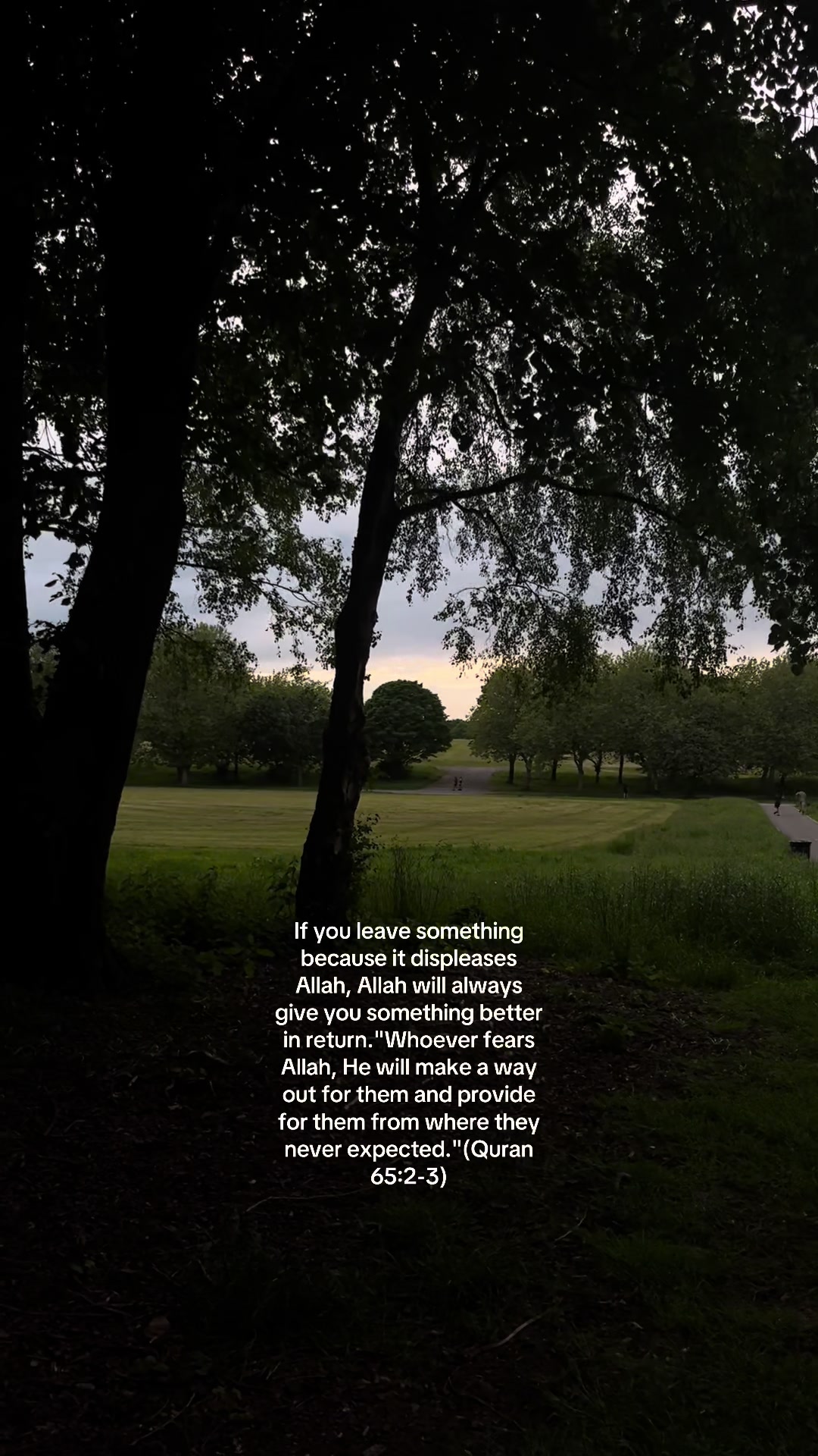 @No Doubt🕊️