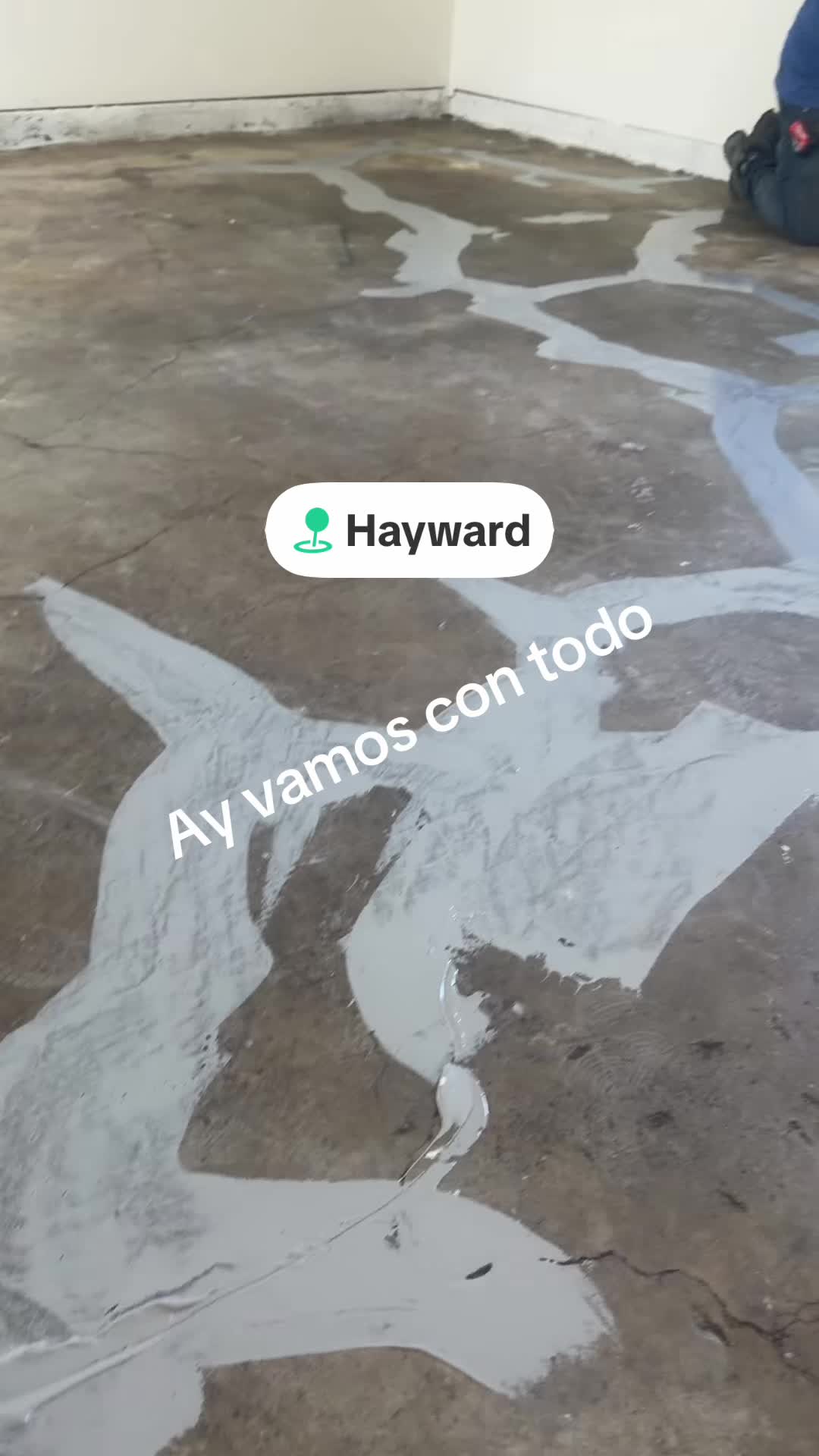 @Porque revisas mi perfil hp