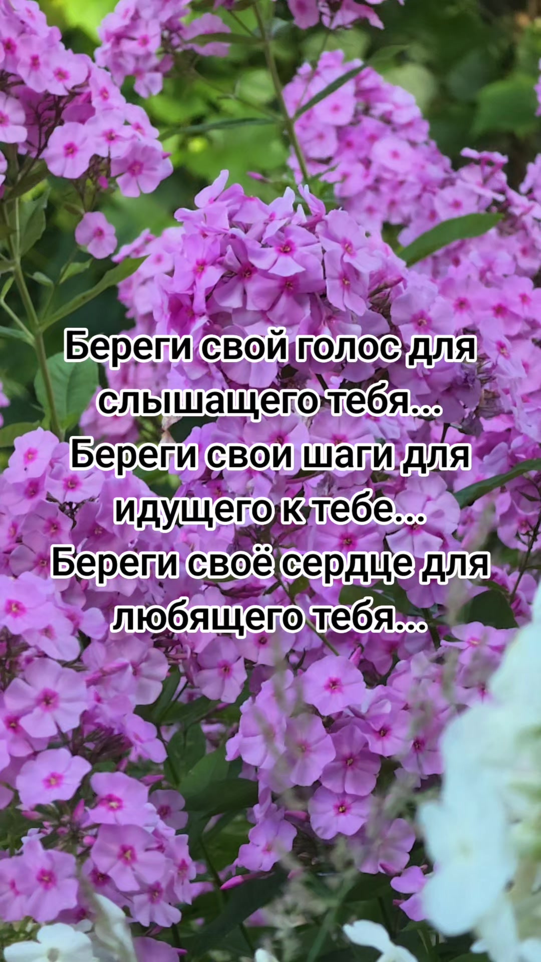 @Lesya Bronzova