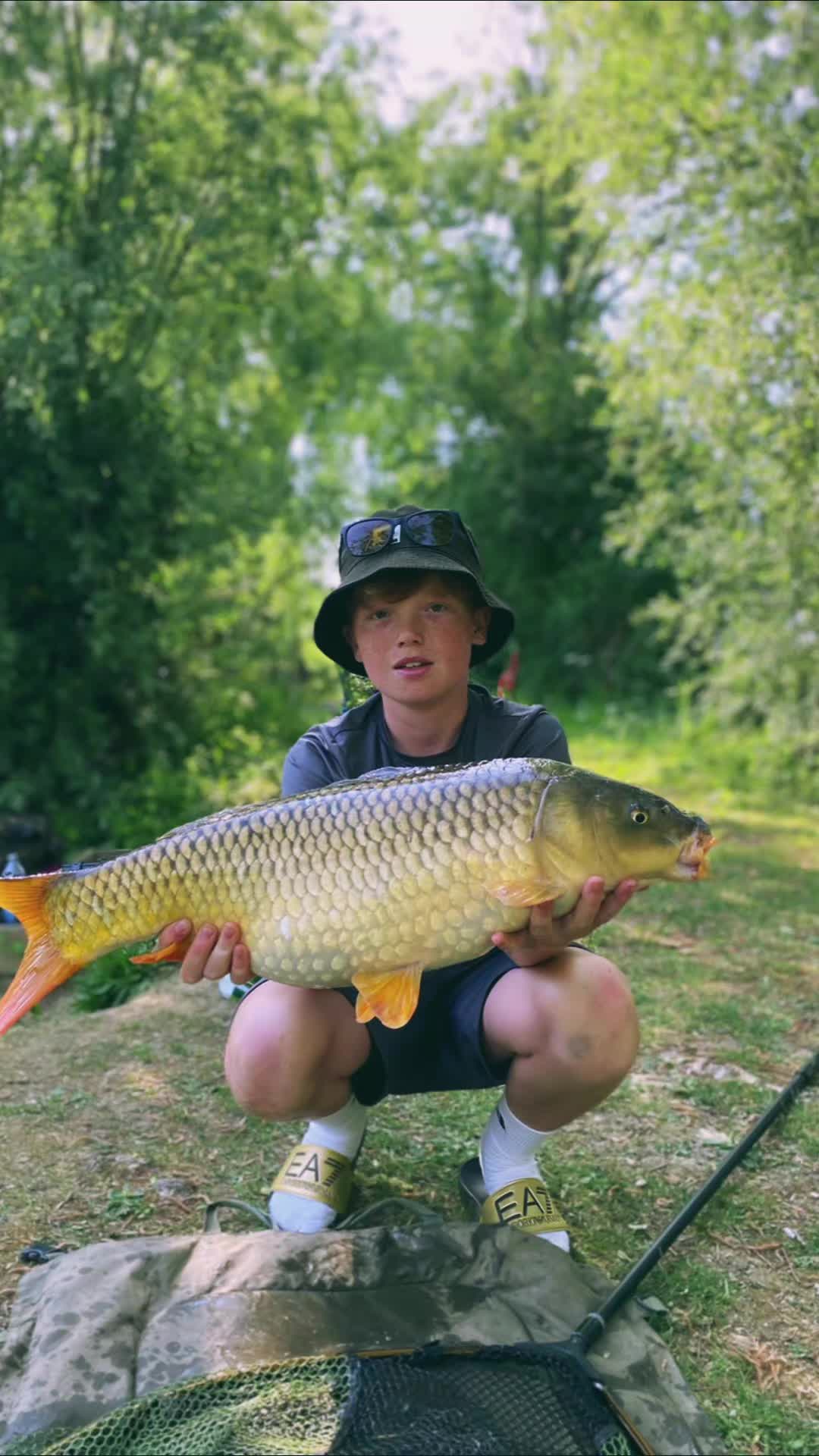 @Carpy Brez