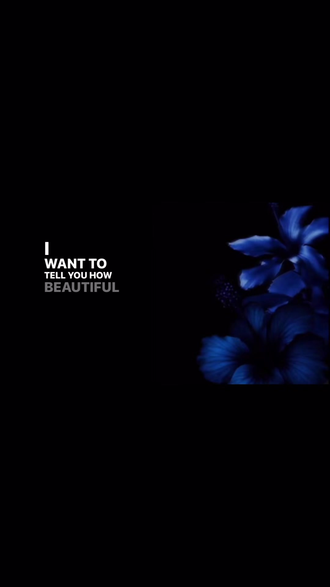 @LyricsForU🎧
