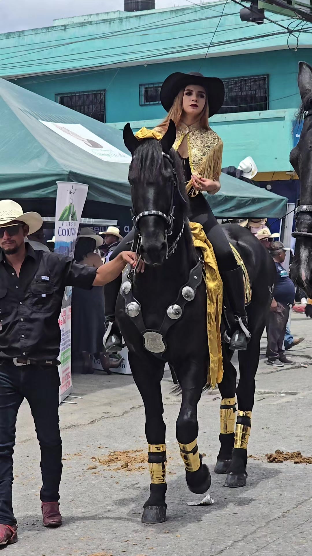 @Wili Rhevo🔵