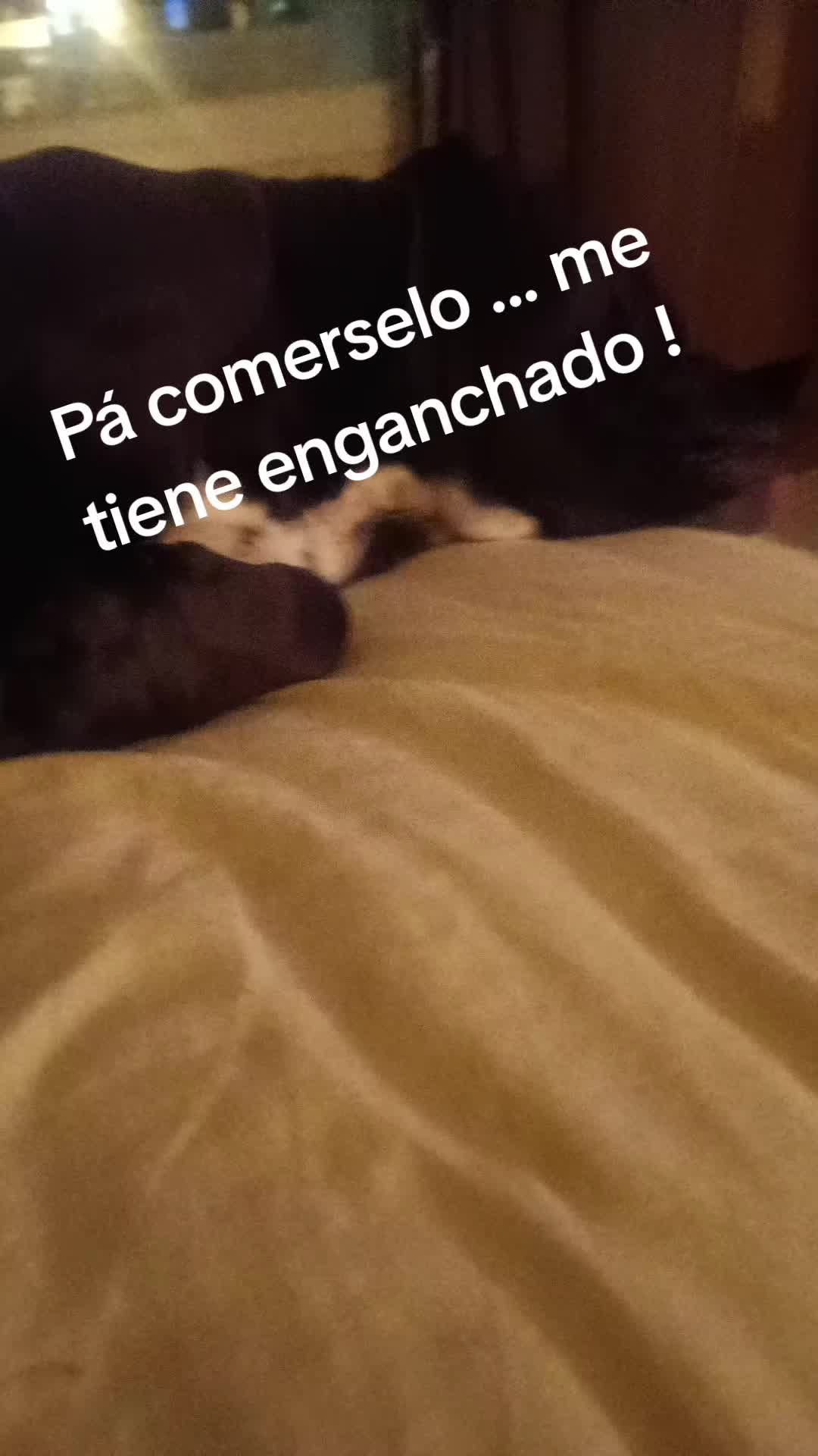 @Jose Manuel Hernande