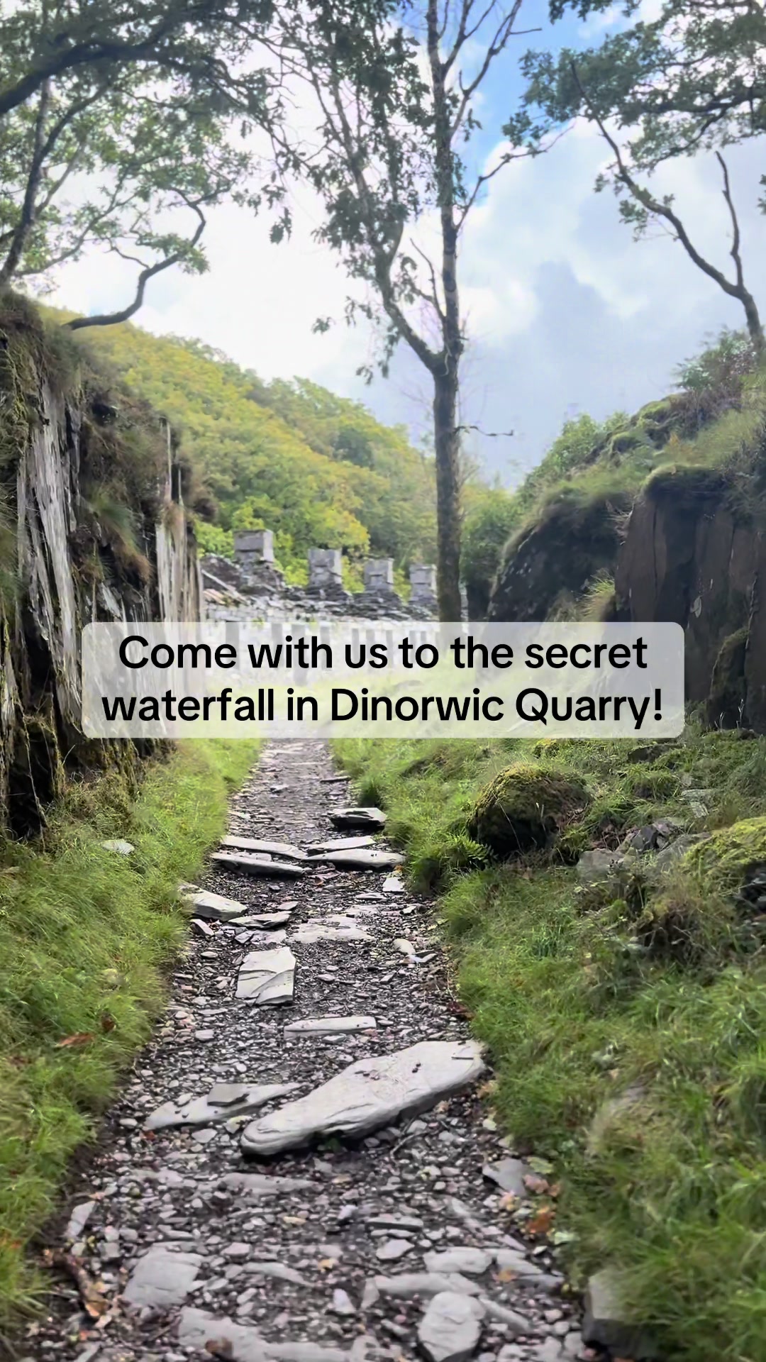 @Georgia 🪩⛰️🥾🍃💫