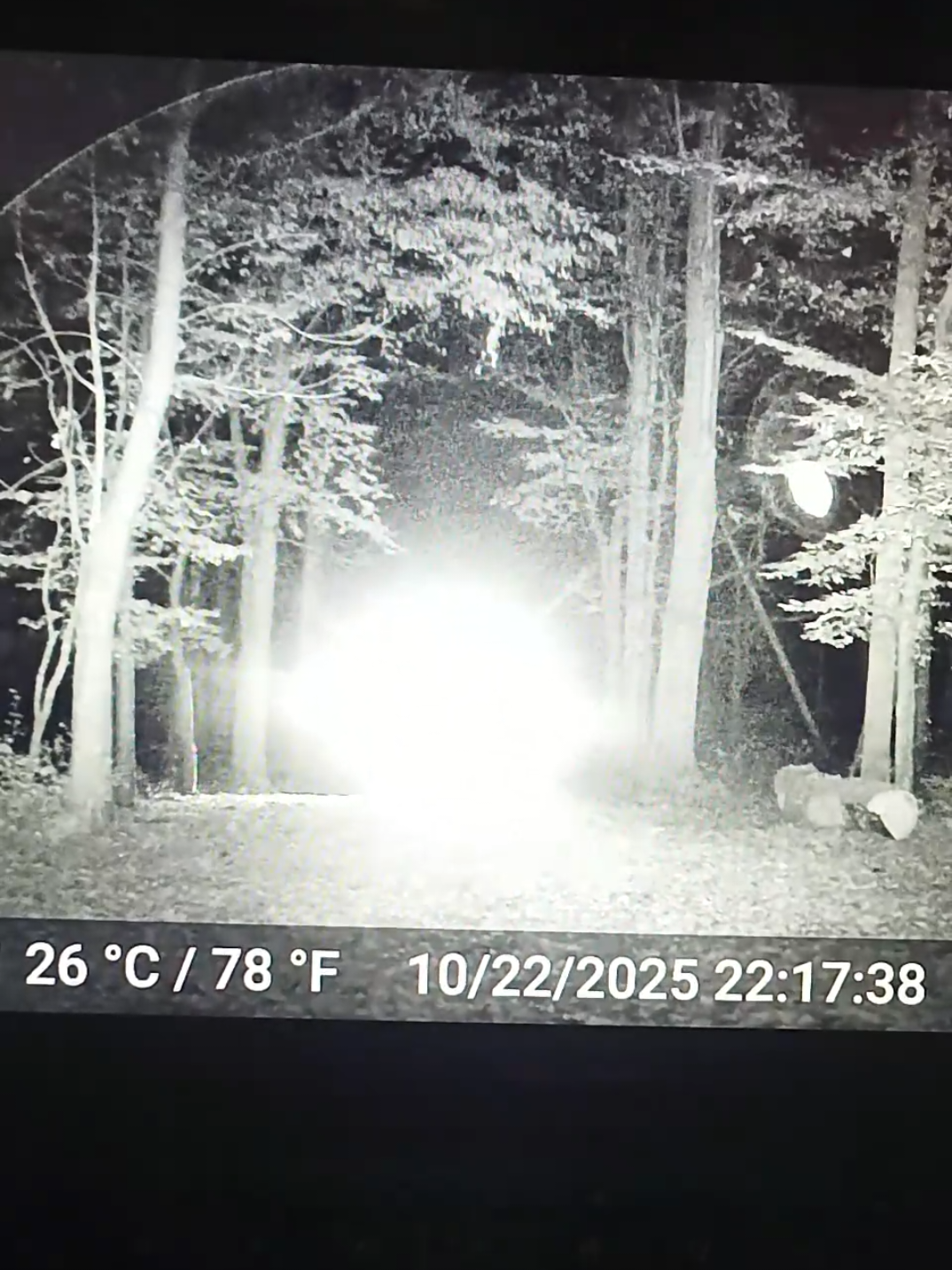 @Paranormal Activity IRL