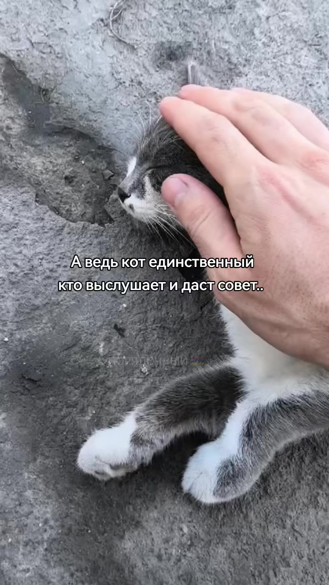 @ПОРЯДОЧНЫЙ 🇦🇲 ✞