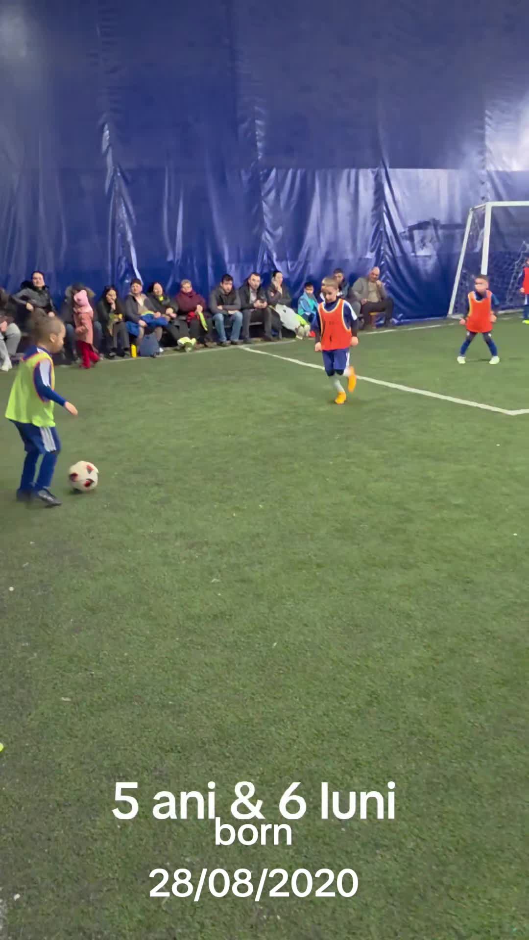 @Zian Leuţul Sudului