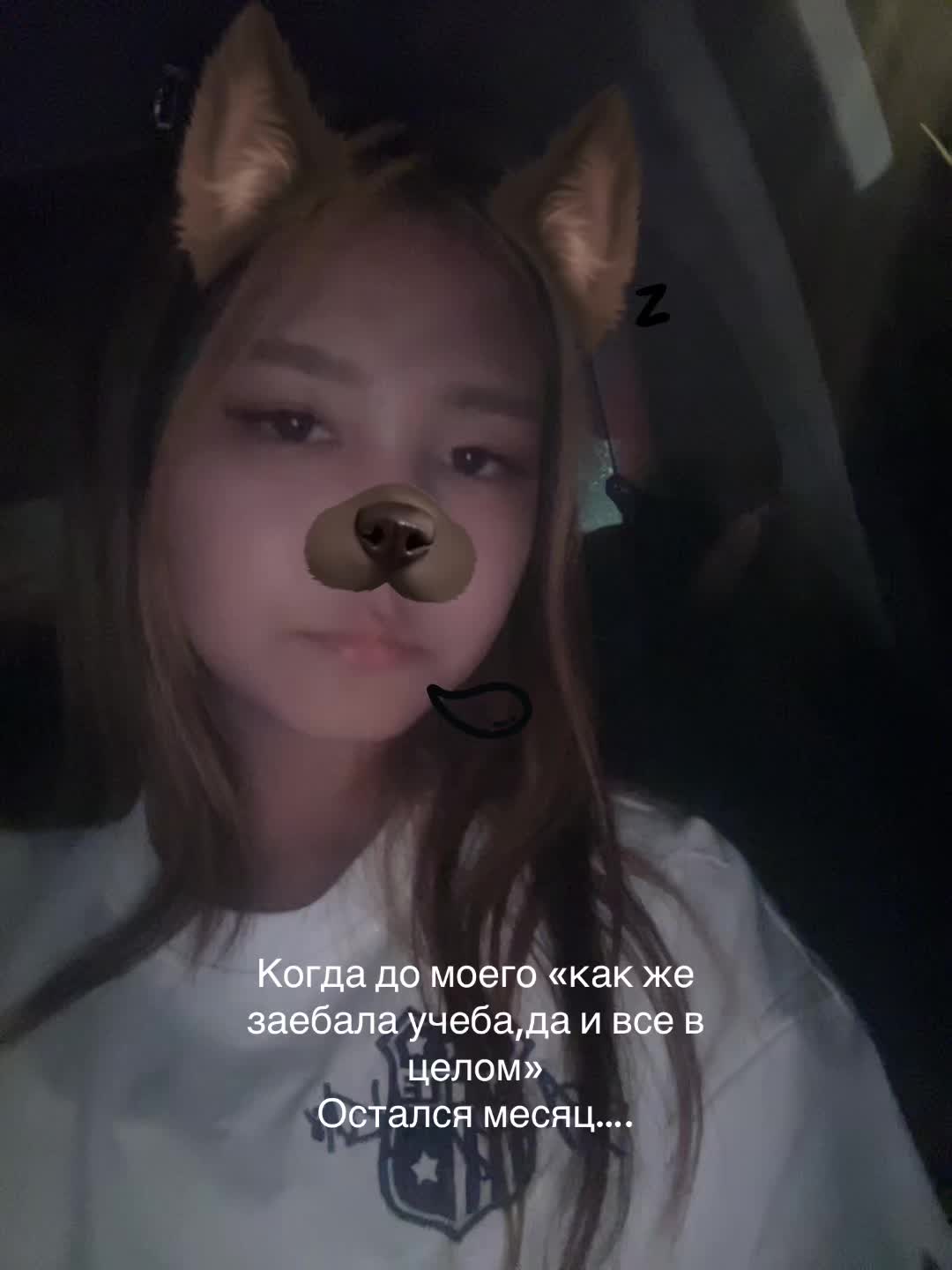 @qui pluub
