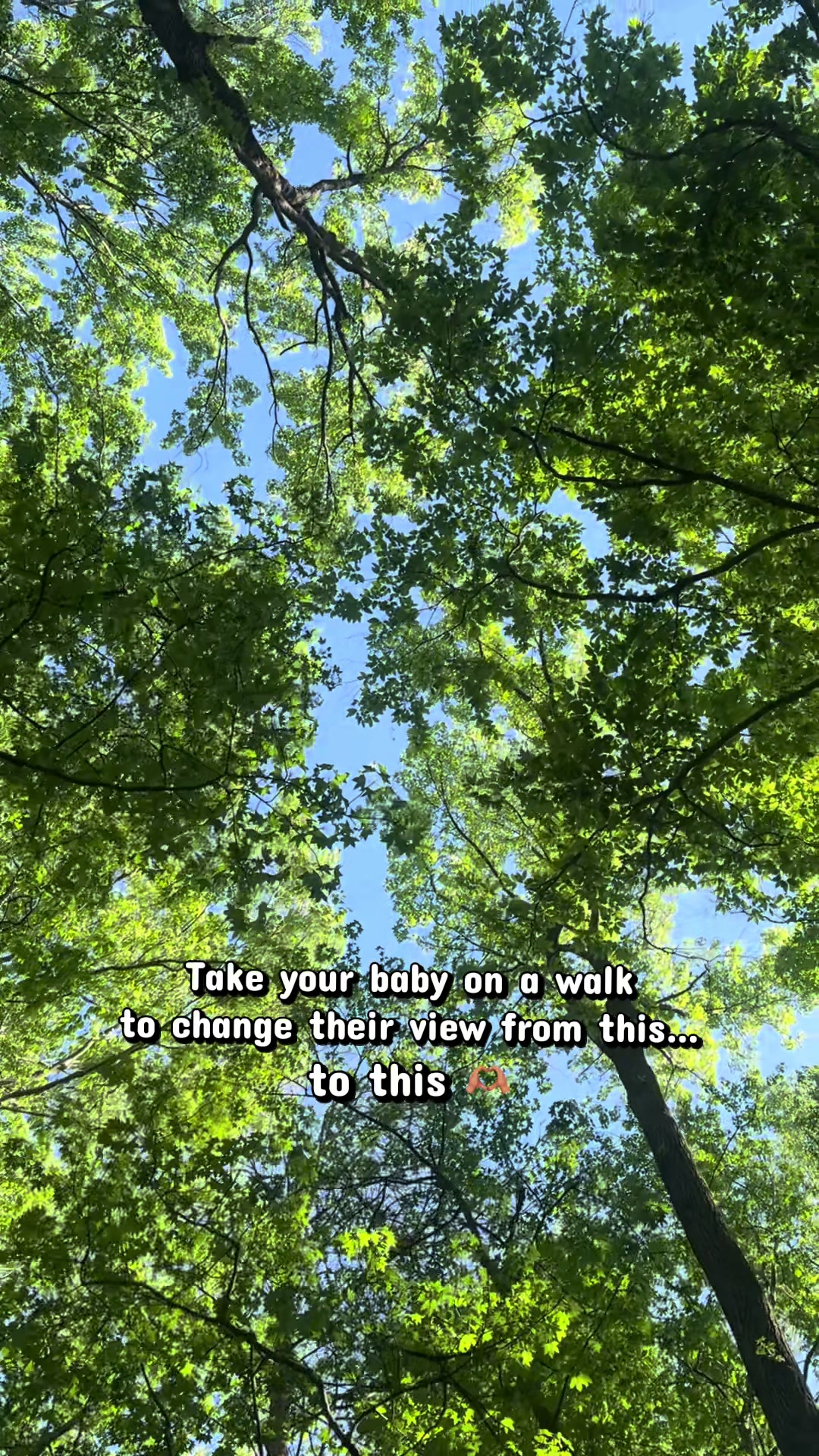 @Dani | Boy Mama 🧸🩵