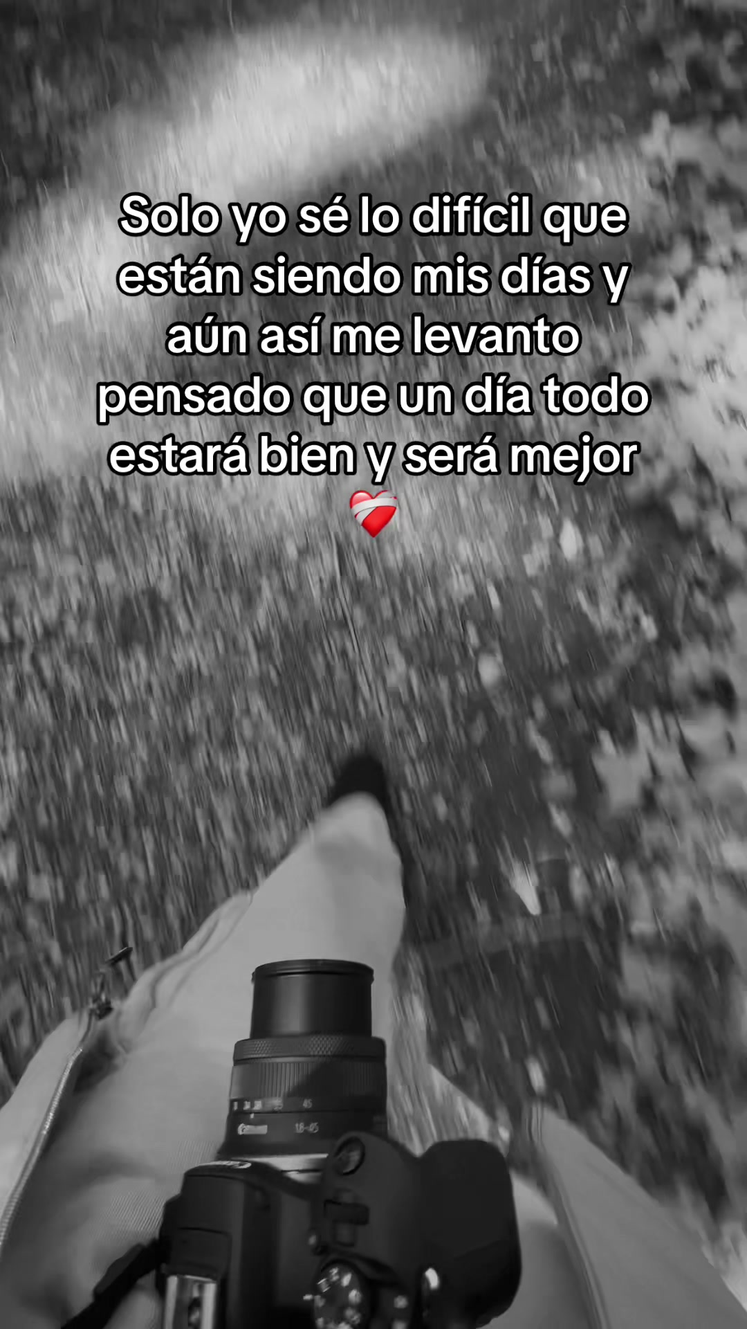@lu_rodriguez__22