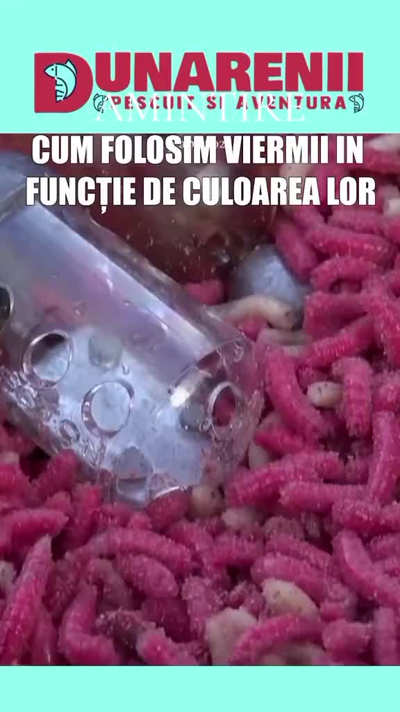 @Pescarul Dunărean