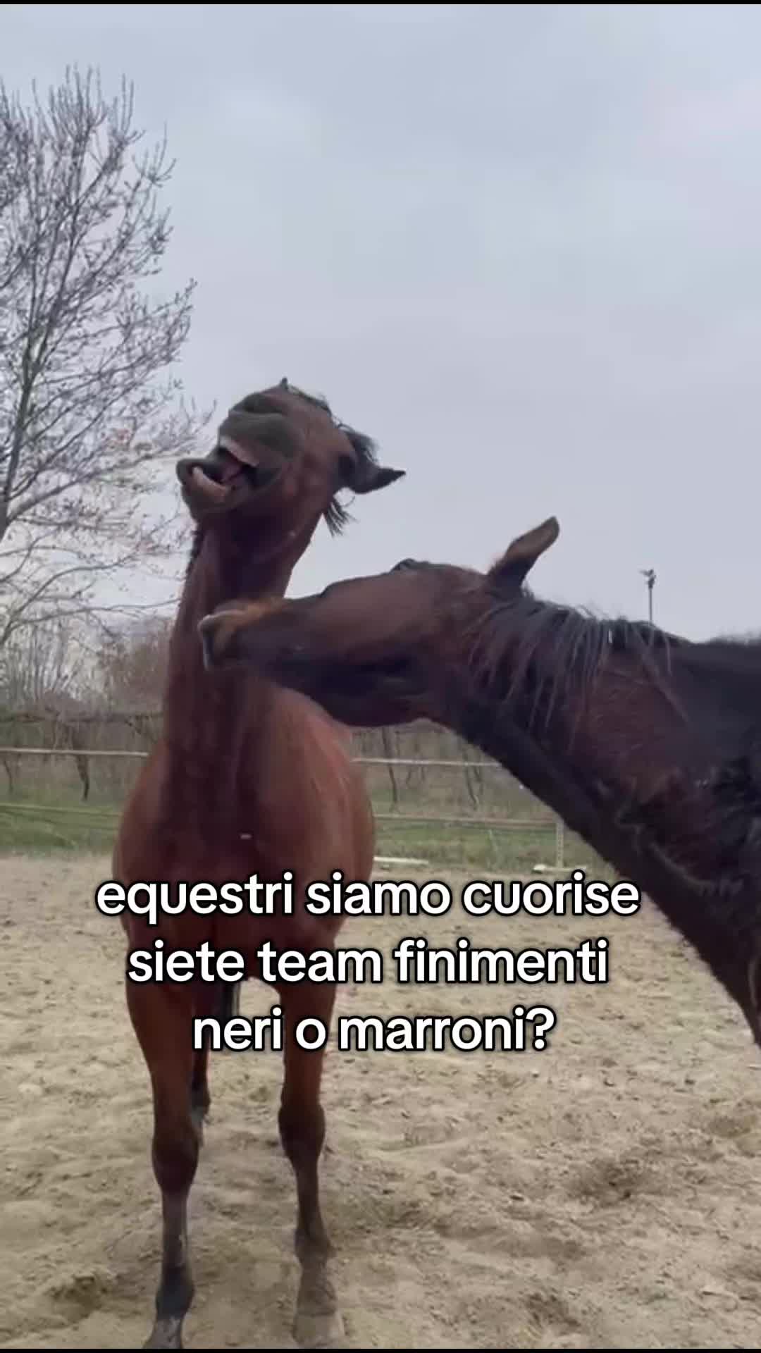 @Miky&Marty