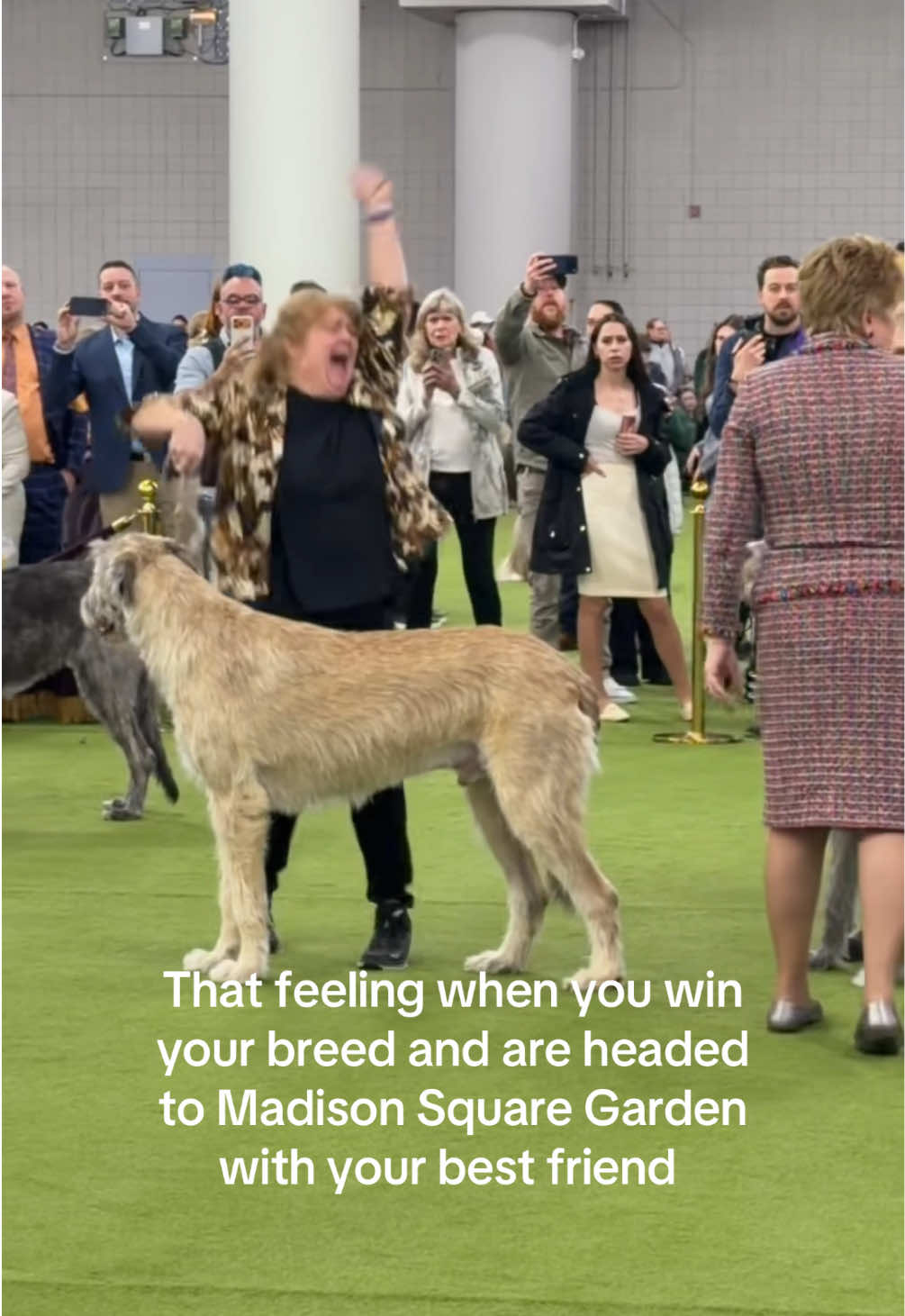 @Westminster Kennel Club