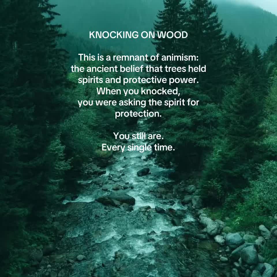 @Jasmin | A Rooted Life