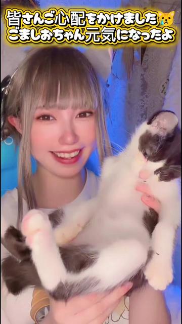 @ハグまくろ👒💓🍯🐈🎀🐾🐯