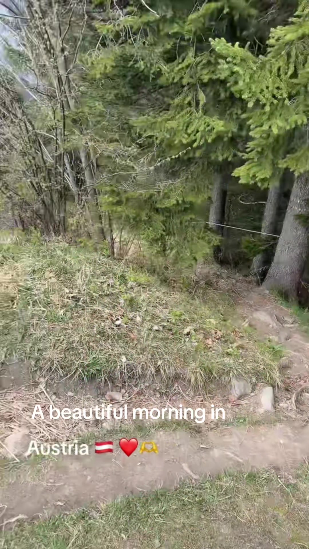 @ARK