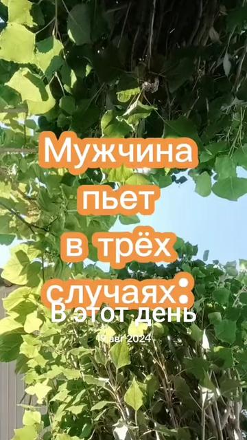 @Rustam
