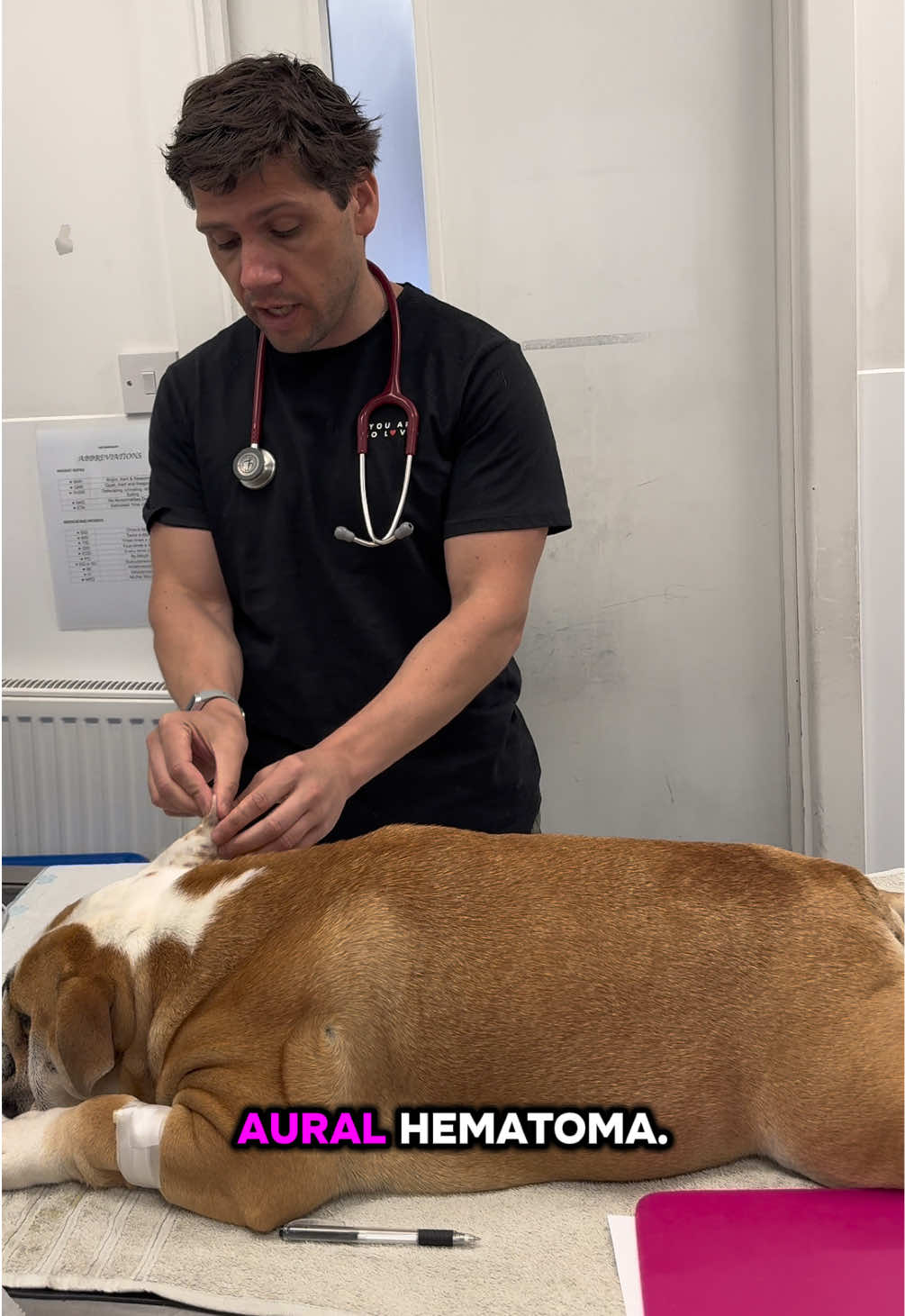 @Tomasthevet