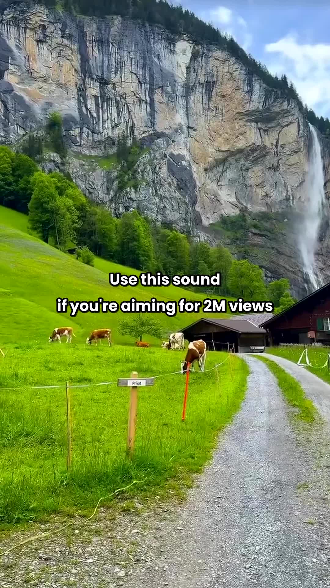 @LukiLuki