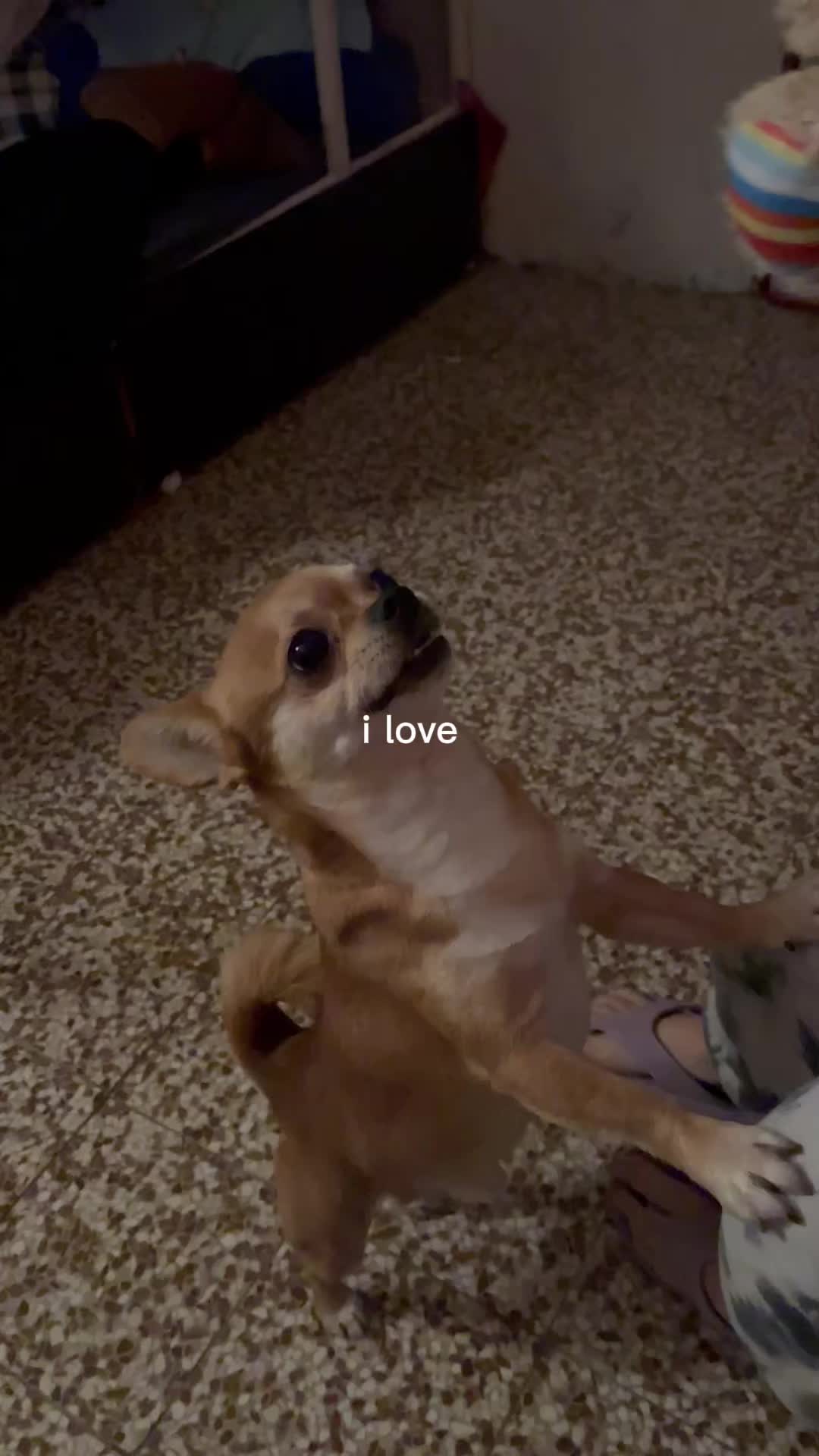 @Bangchan &lsquo;s Wifey