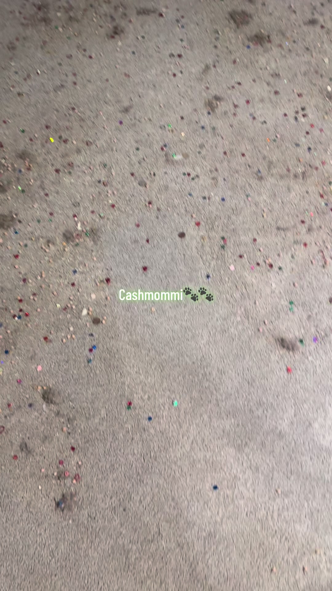 @CashmommiVacs