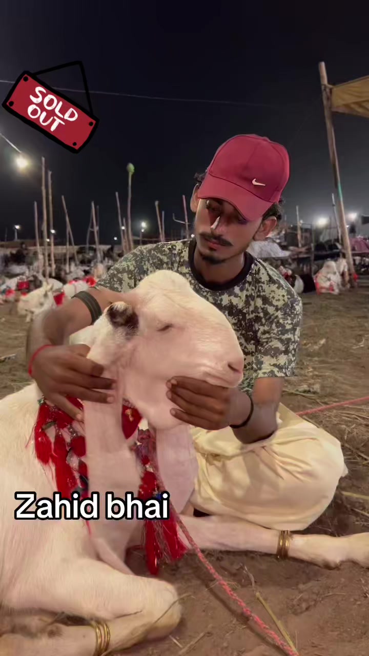 @✨.زاهد سولنگي واپاري. 🐐