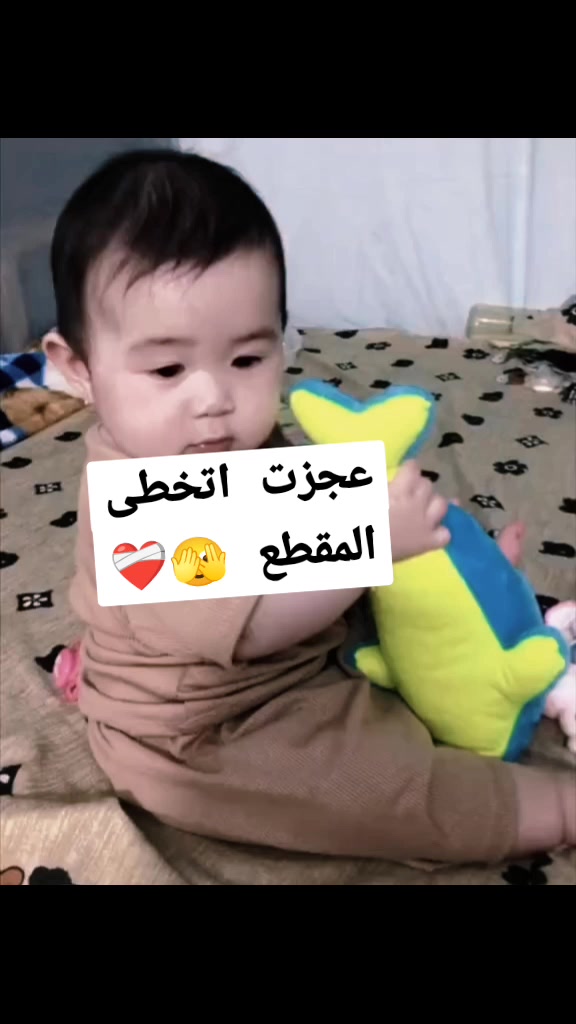 @hamzh