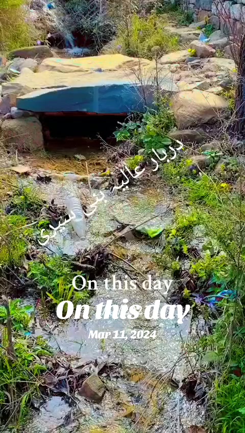@dangaawalisarkar🏒🏑