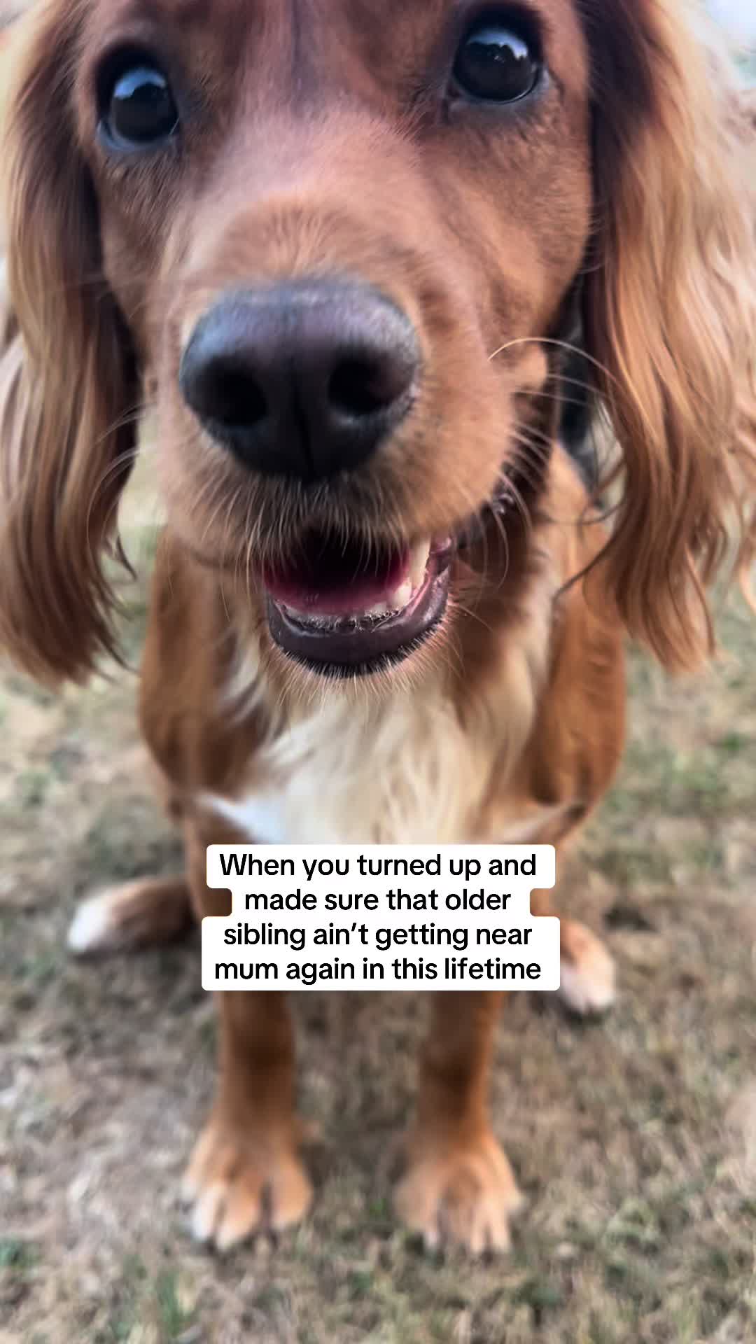 @Corrina | Parker & Mila 🐾 ⭐️